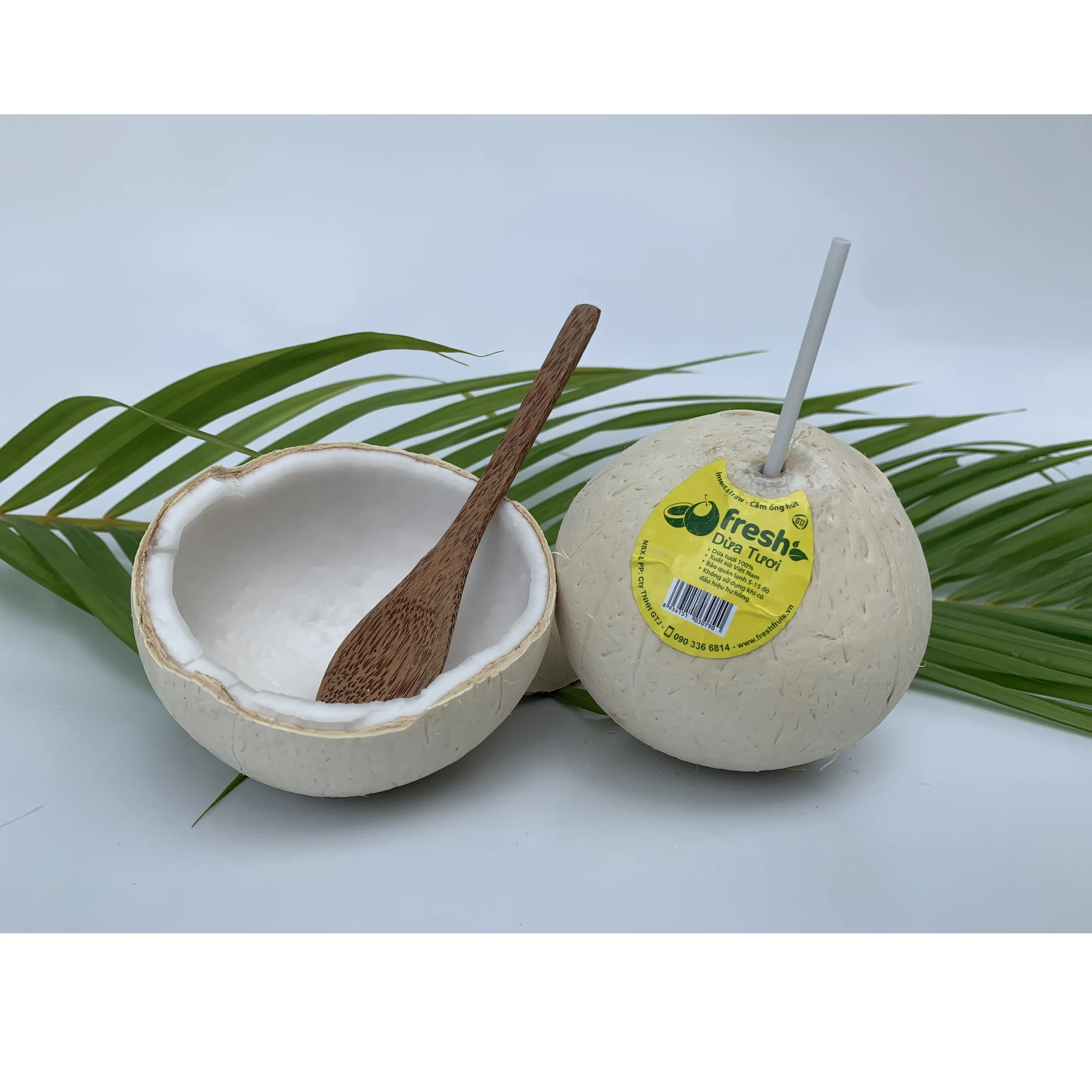 100% свежие кокосы дельта Меконга Вьетнам молодой кокос свежий удобный экспортер из