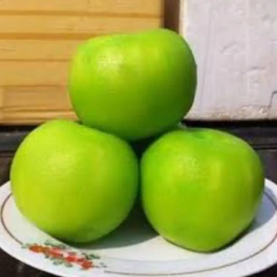 Тайланд Yummy Guava замоченные консерванты для фруктов