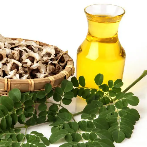 Supplier  Moringa Carrier Oil