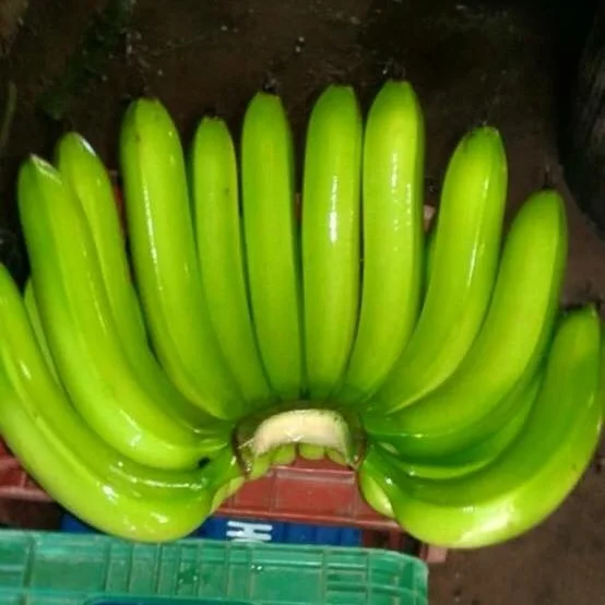 Свежий банан/канвандиш банан MULTI CHOIC