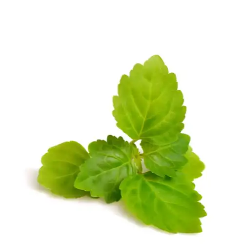 Масло пачули для ухода за кожей оптом высококачественное Эфирное масло (новинка) 100% чистое ароматерапия завод лучшее предложение