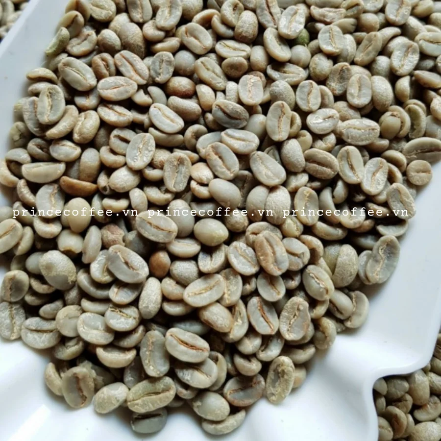  Лучшая цена вьетнамские кофейные зерна Arabica Robusta зеленые высококачественные необработанные