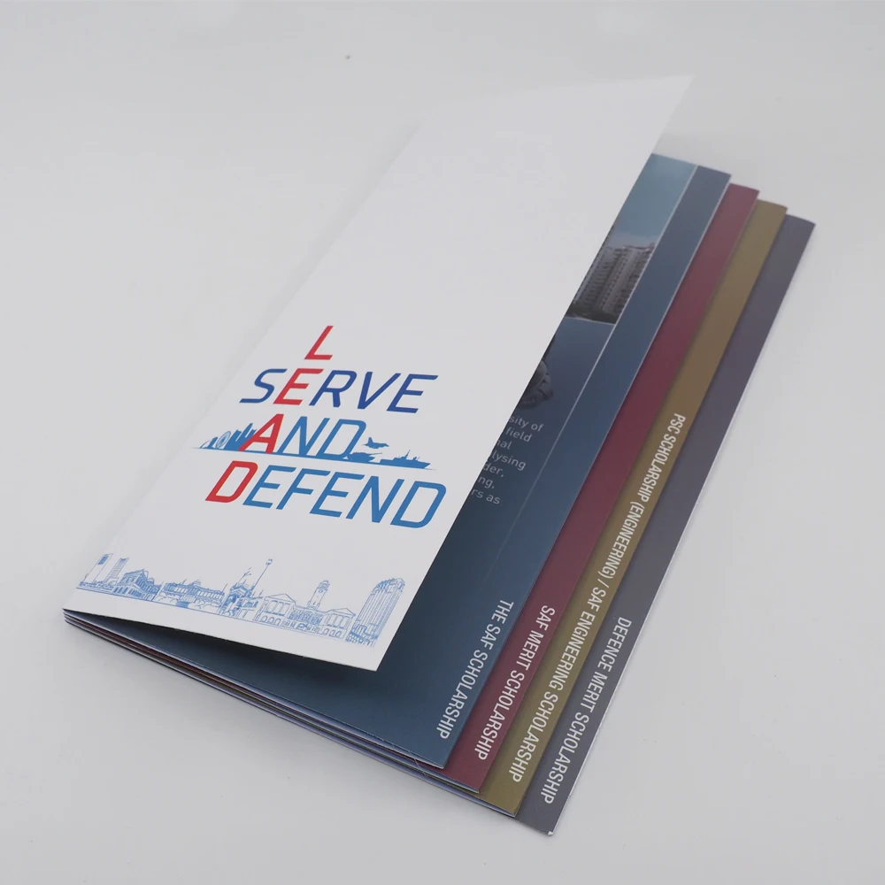 
 250GSM печатная брошюра с покрытием лакирующей поверхности, цифровая для инфографической брошюры, художественная карточка с матовым ламинированием  