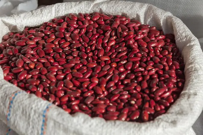 Quality Dried Dark Red Kidney Beans for sale