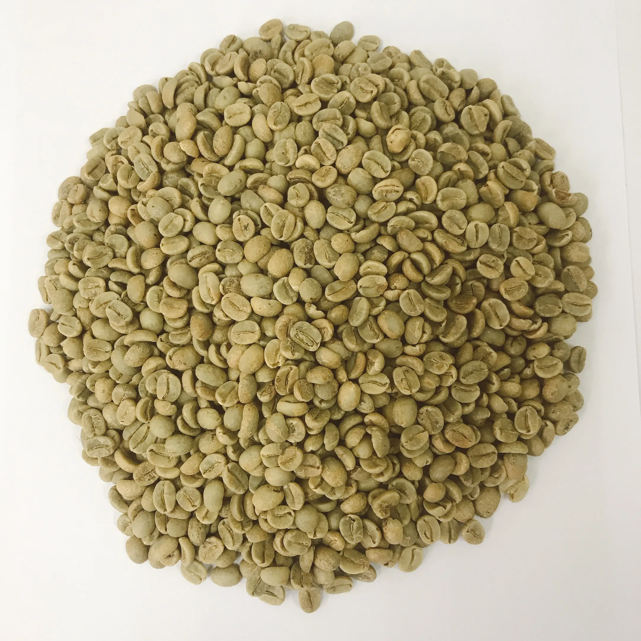 Best price with low MOQ good quality wholesale products green bean arabica made in Viet Nam Wet Washed Wet-polished