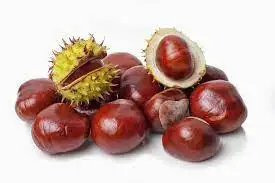 
New crop chestnut price/Chestnut from China/Wholesale chestnut 