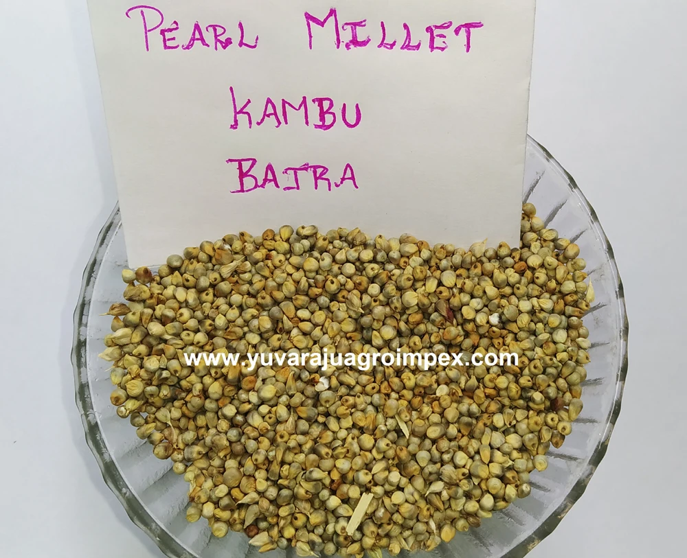 Жемчужные семян пса/лучшее качество экспорт пса в Индии