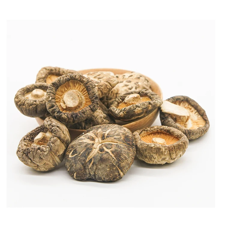 Dried Shiitake Mushroom Wholesale cheap dried shiitake mushroom-Ivy HH+84977157110