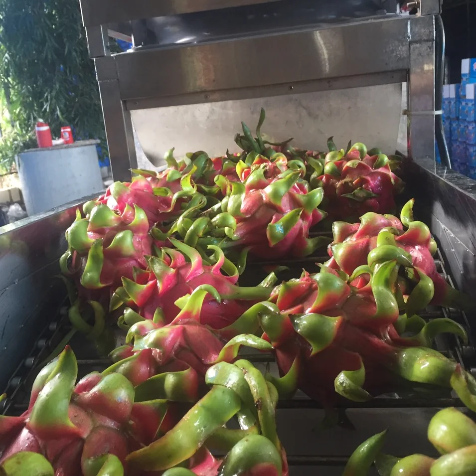 Дешевая цена Pitahaya Вьетнам/свежие фрукты дракона/оптовая продажа фруктов Pitaya Вьетнам