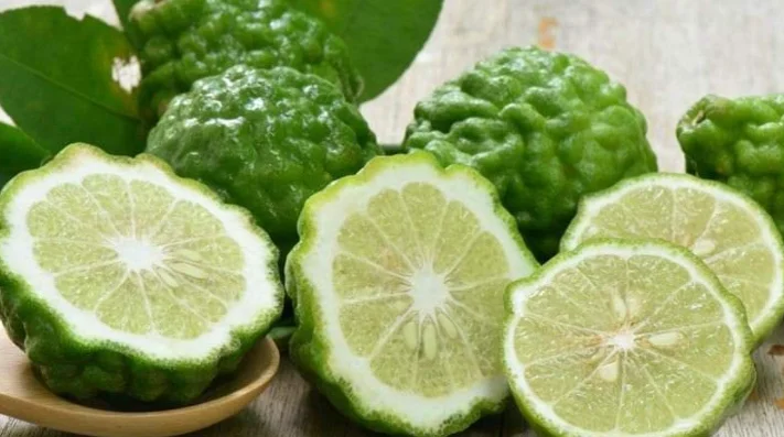 Citrus Hystrix Lime Nature Handicraft Bergamot Slice Thailand Kaffir Dried Fruit Vegetable Nothing Else No Chemical