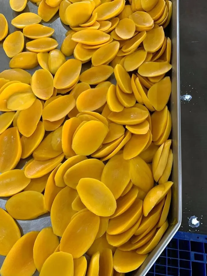 
Best Deal For High Quality Soft Dried Mango 500gr, 1000gr Vietnam OEM 