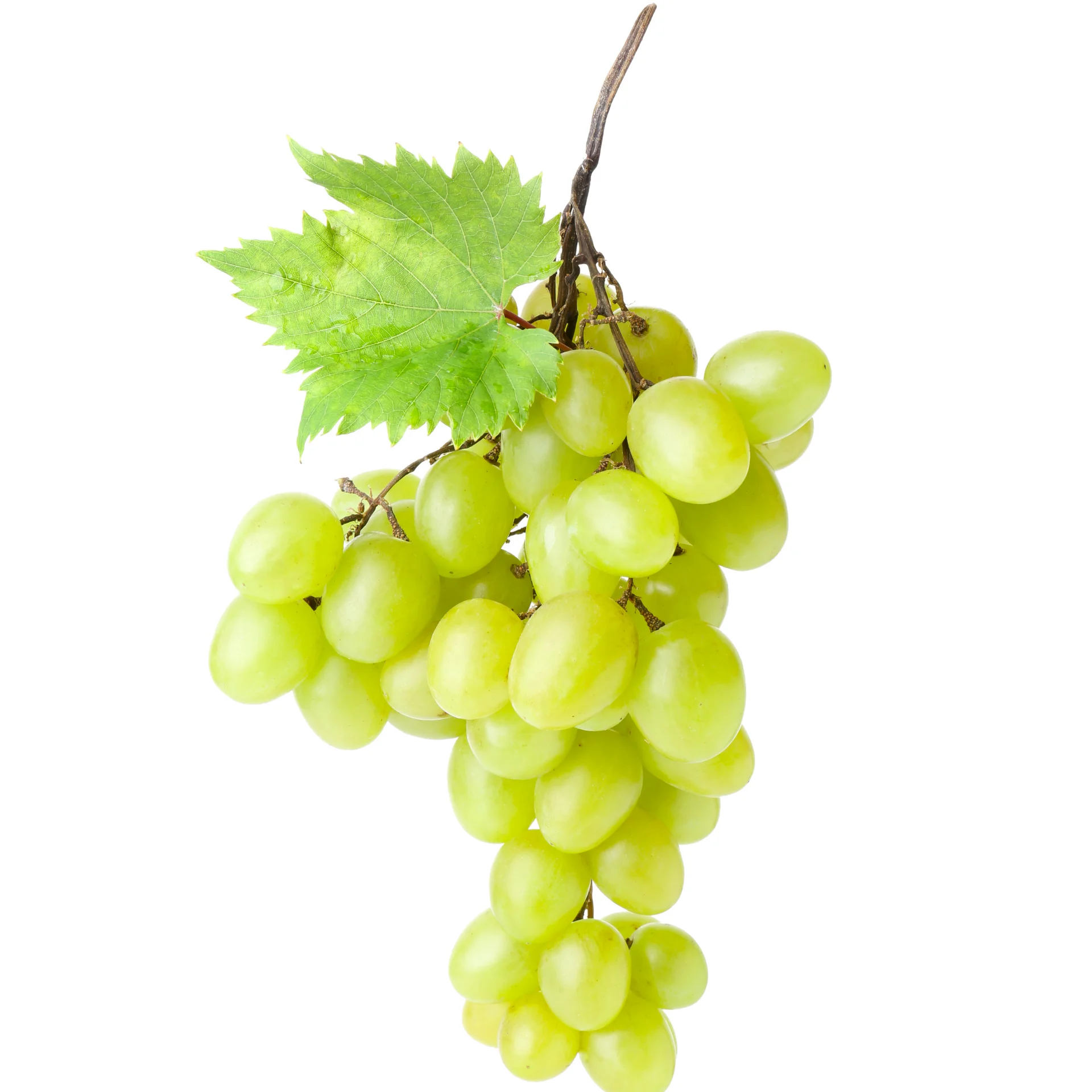 Зеленый виноград без рассады-свежее качество