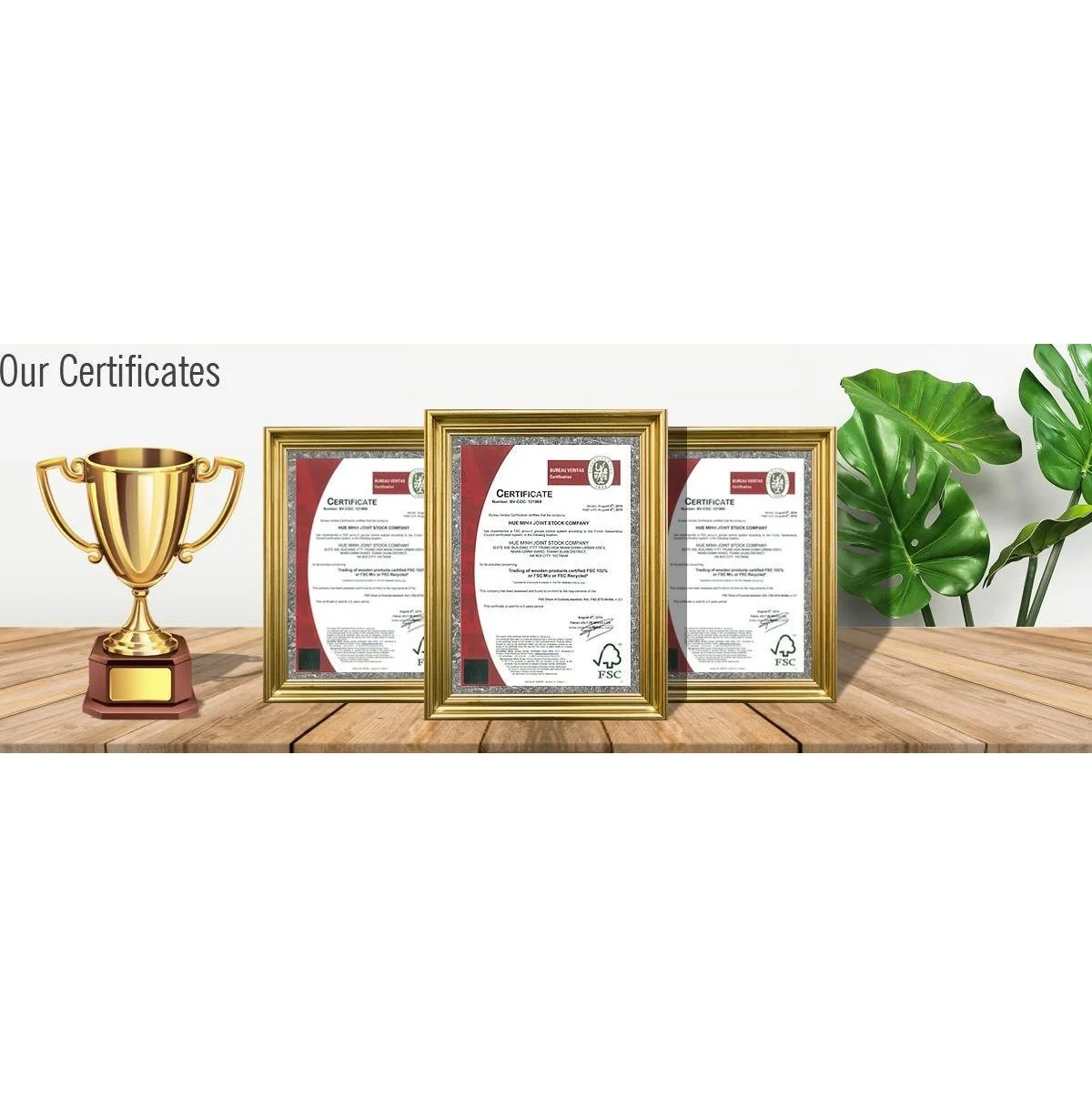 Certificate of HM JSC.jpg