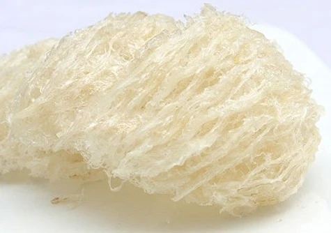  Сухое съедобное Птичье гнездо из Австрия-прямой производитель съедобного птичьего гнезда-Птичье для оптовой продажи