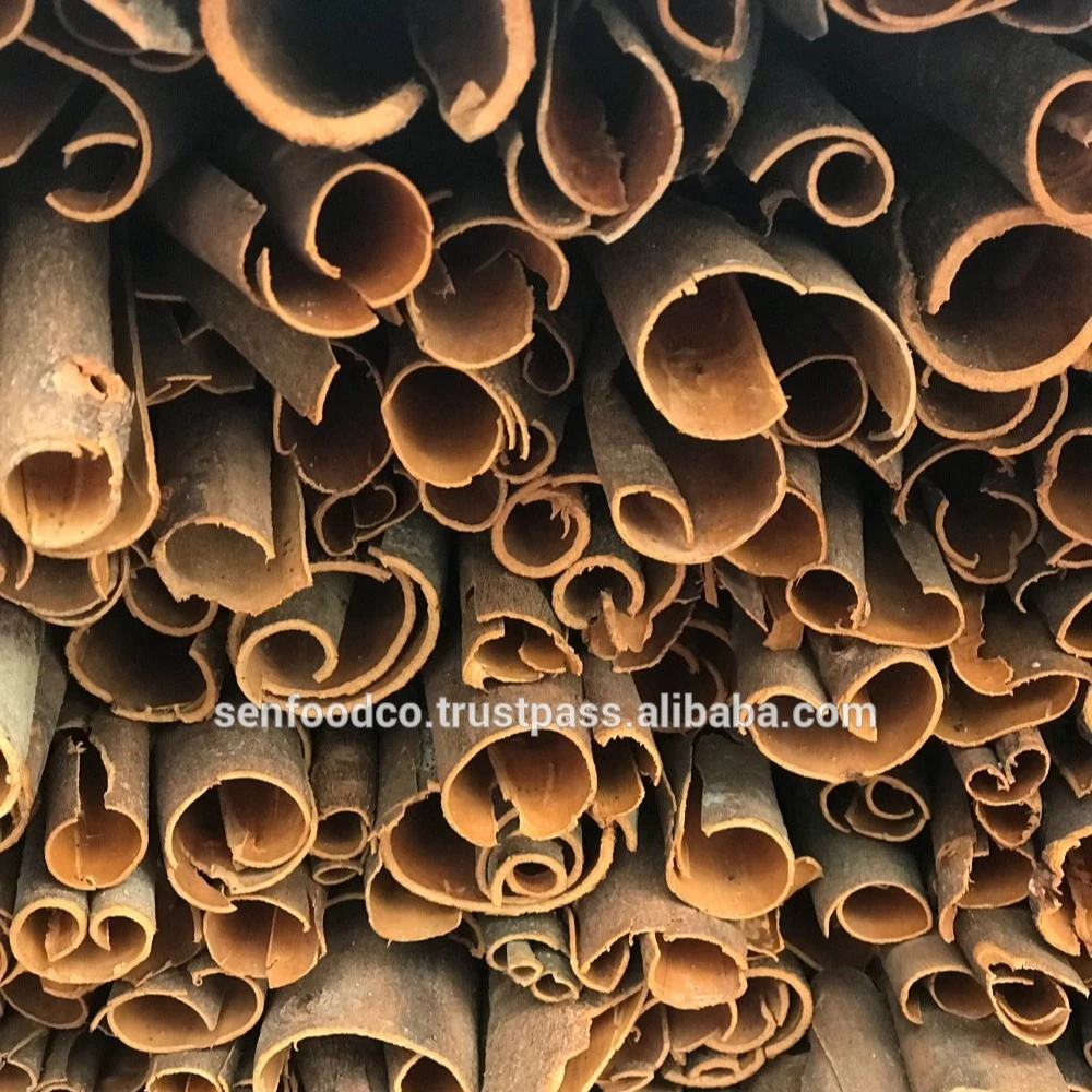 
Best quality SPLIT CASSIA FROM VIETNAM Whatsapp: +84 934 449 569 