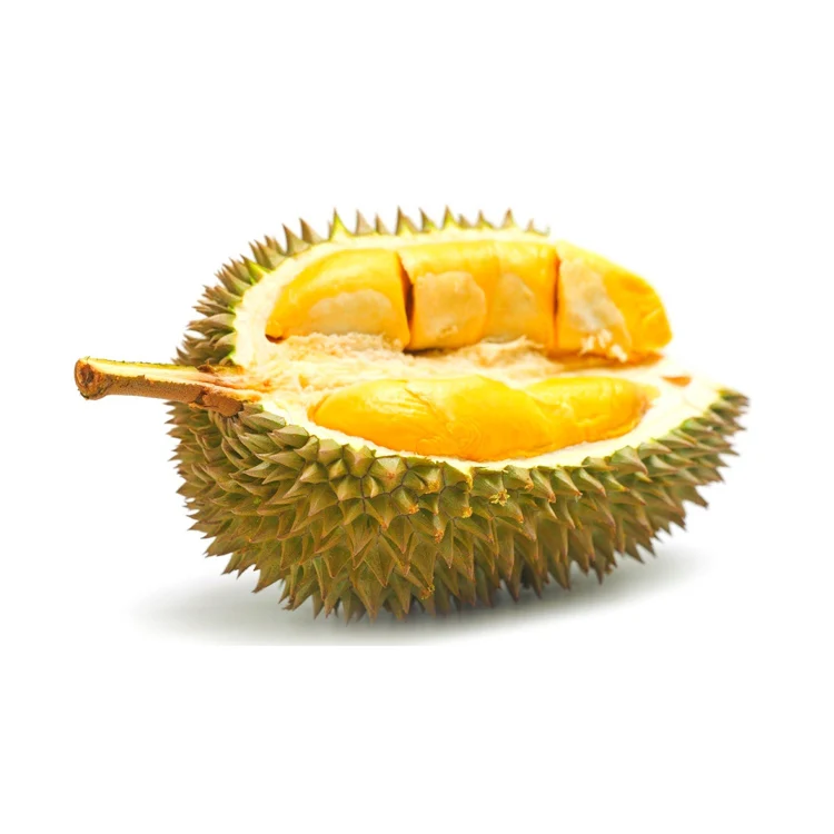 High Grade Musang King Durians Smooth Texture Plump Flesh and Bright Yellow Meat Fresh Tropical Fruit Durian