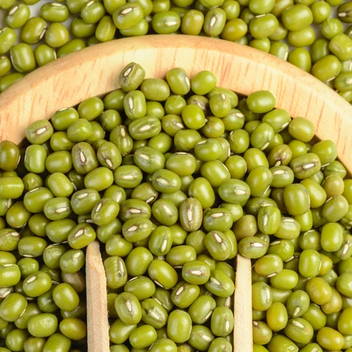 
Green mung beans,Mung Beans,Vigna beans For Sale 