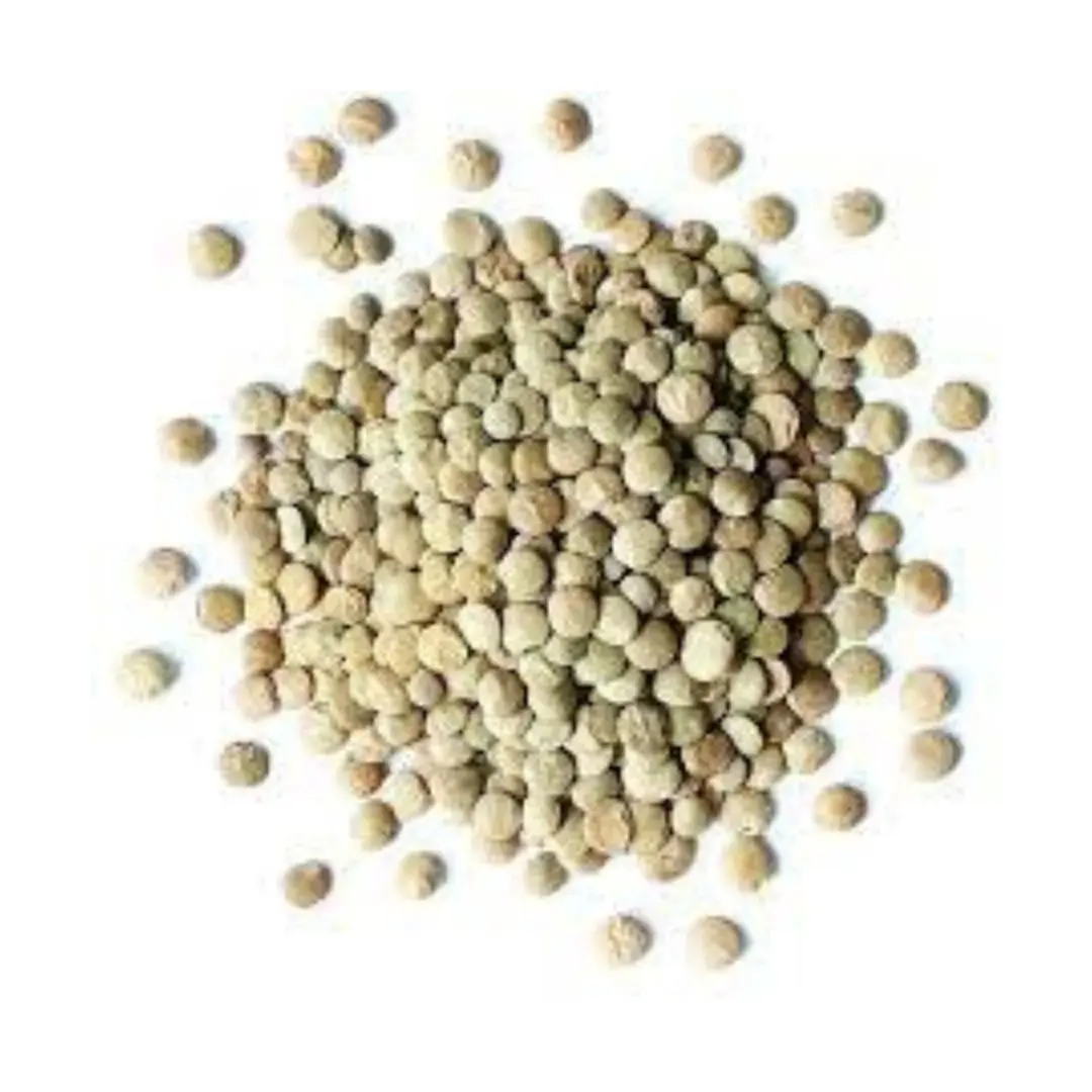 HIGH QUALITY GREEN LENTILS