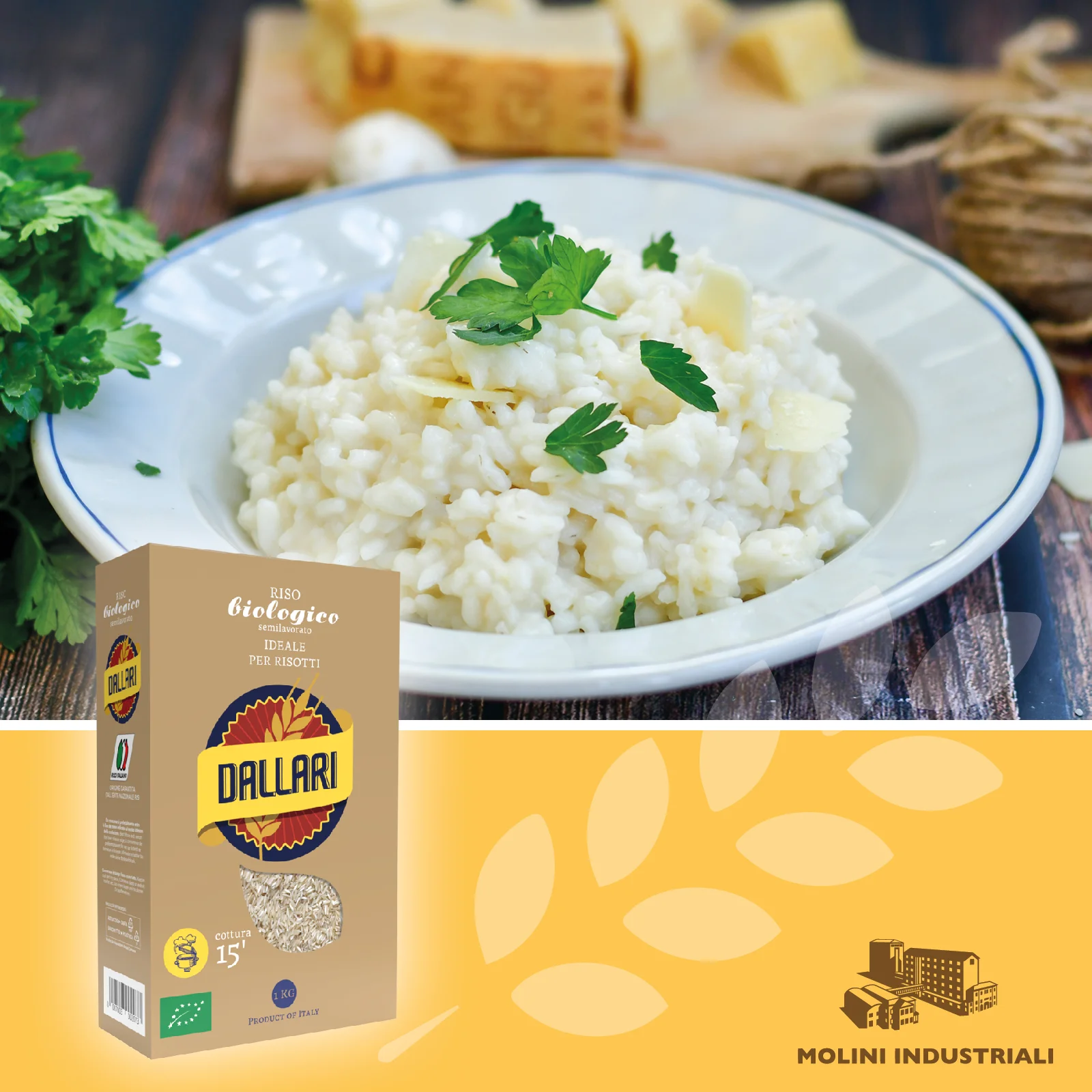 DALLARI ORGANIC RICE BIO HIGH QUALITY 100% MADE IN ITALY SUITABLE FOR RISOTTO - VACUUM PACKED 1KG