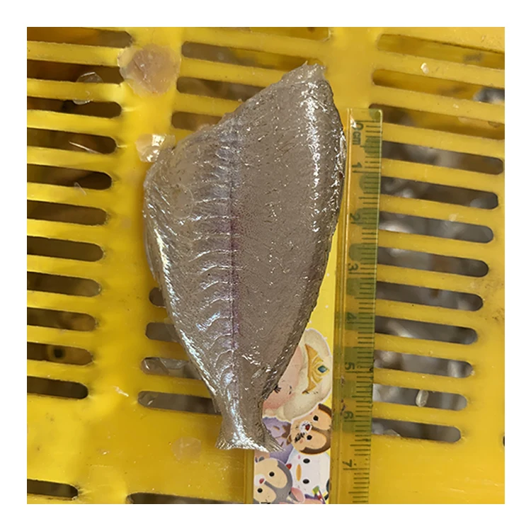 Fish and Seafood Wholesalers Glass Fish