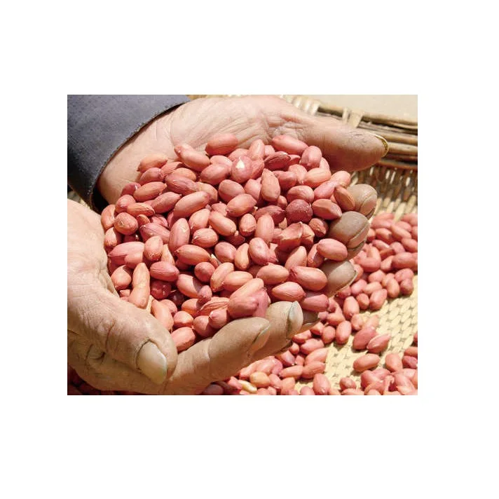
New crop red skin peanuts kernel 