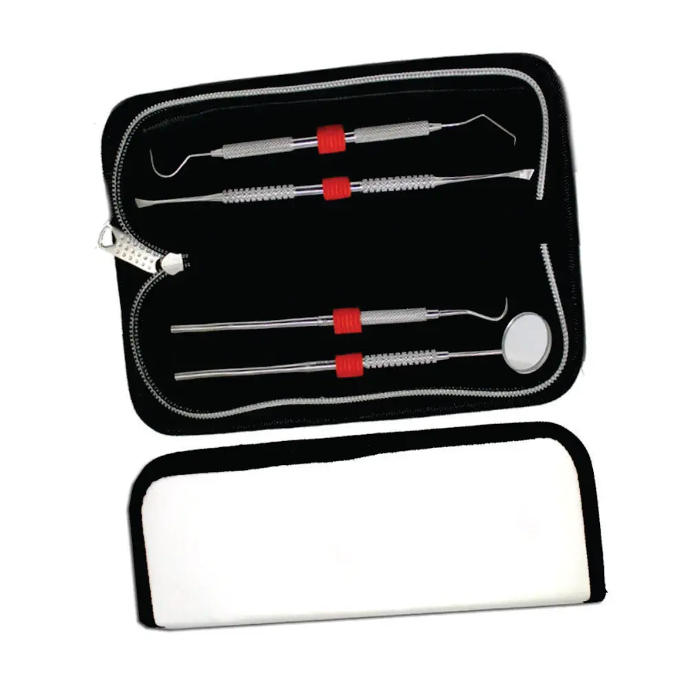 Stainless Steel Dentist Tools Dental Instruments Surgical Dental Hygiene Kit