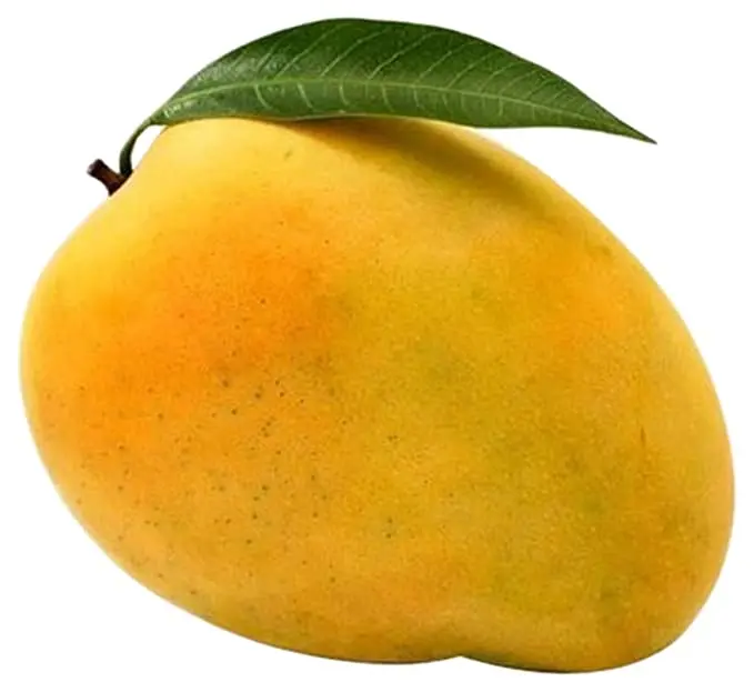 
Banaganapalli Mangoes 