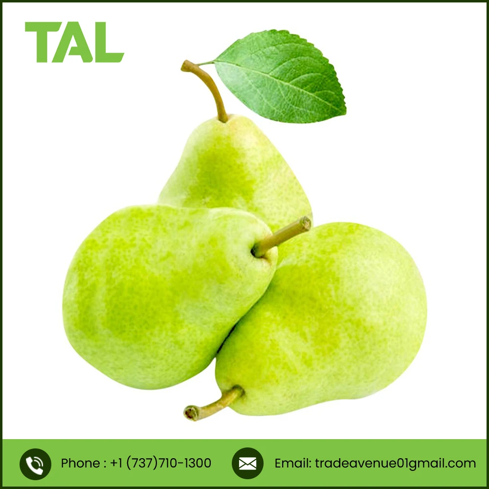 TOP QUALITY fresh green pear fruit from South Africa