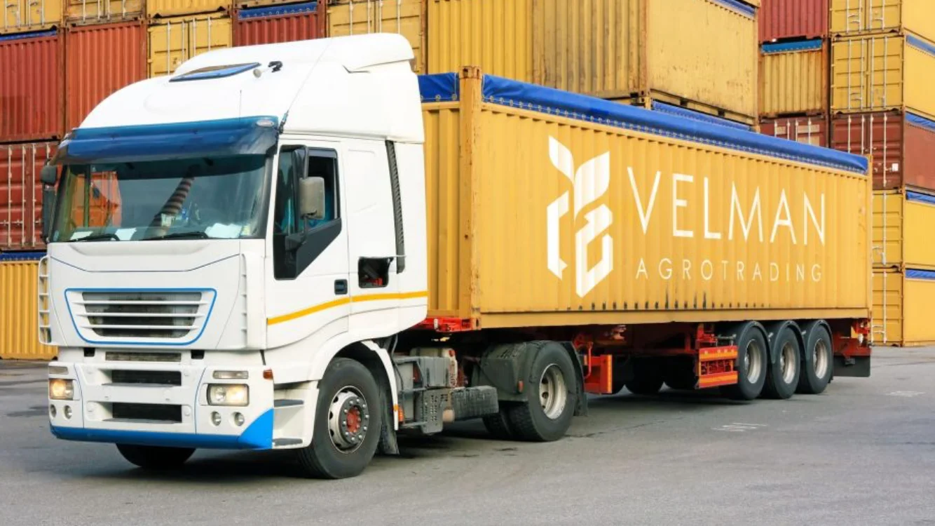 wholesale imported 4p 6p pure SPRING WHITE GARLIC FROM SPAIN. red garlic in bulk 10kg mesh bag