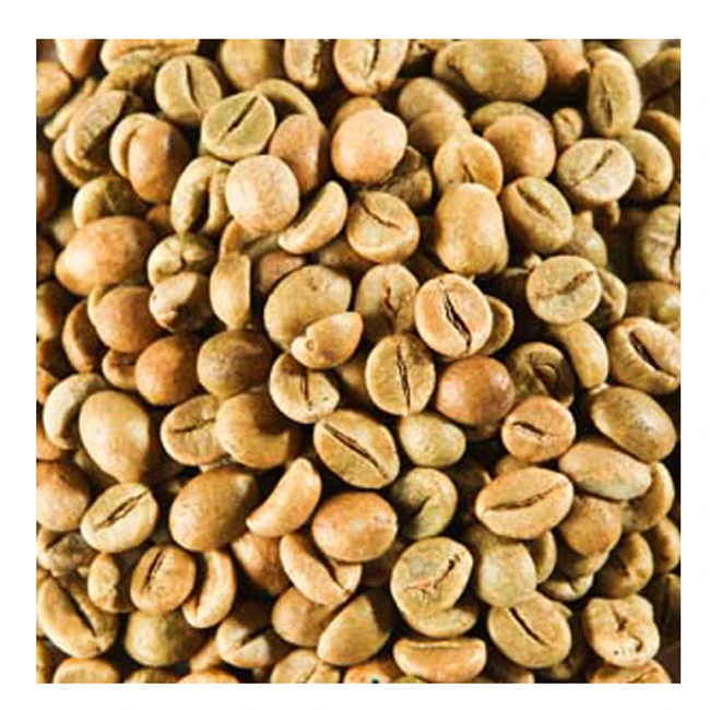 HIGH QUALITY NATURAL HEALTHY SUPER AROMA INDIAN GREEN COFFEE BEAN SUPPLIER AND EXPORTER