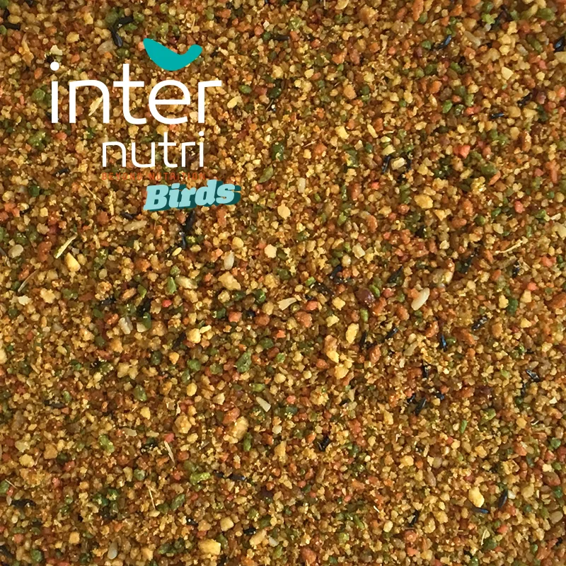 
Complementary food for birds | INTERNUTRI TROPICAL PATE 10KG 