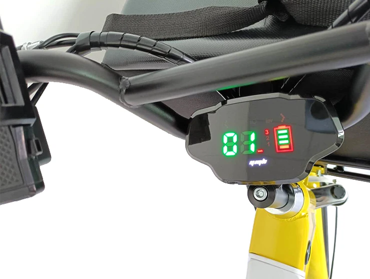 Быстрая Доставка еды на большие расстояния до 100 км, Электрический Грузовой электровелосипед с двойной батареей 24 Ач для всей семьи