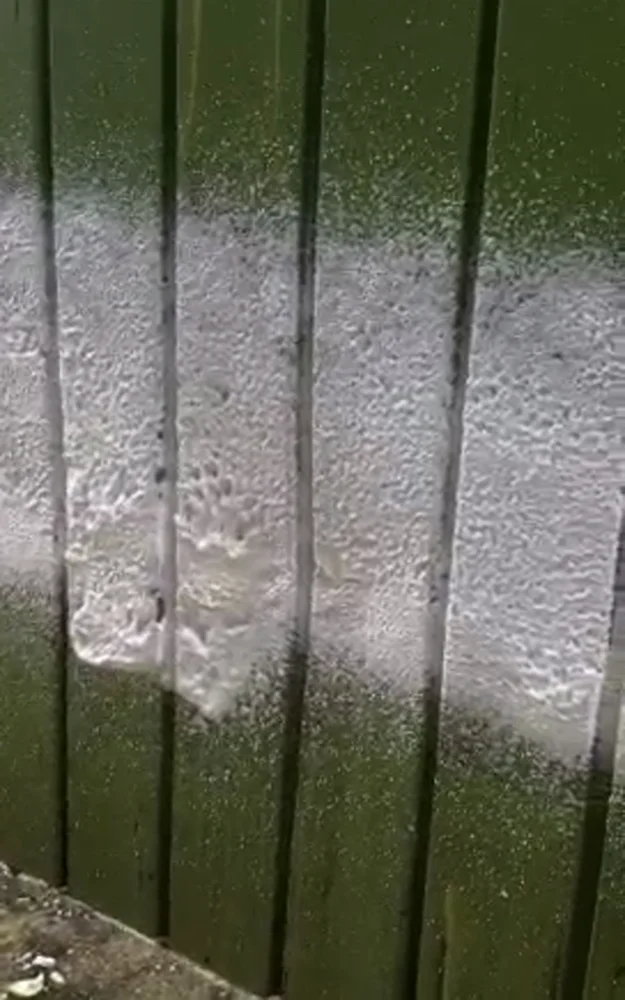 
Concentrate car cleaner Eco Car wash soap snow foam 200:1 