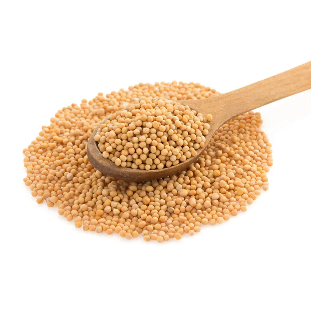 First Grade Organic Mustard Seeds Wholesaler in Germany