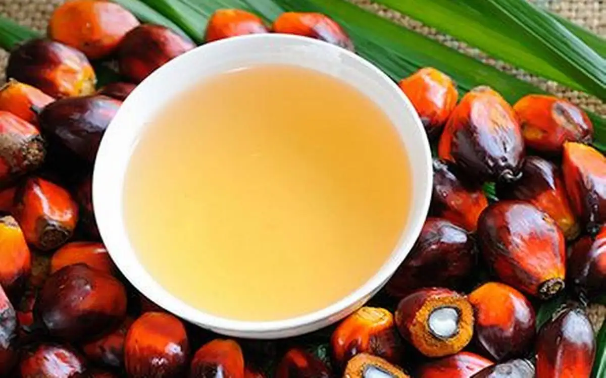 Crude Palm Oil (CPO) 100% FFB  from South Africa