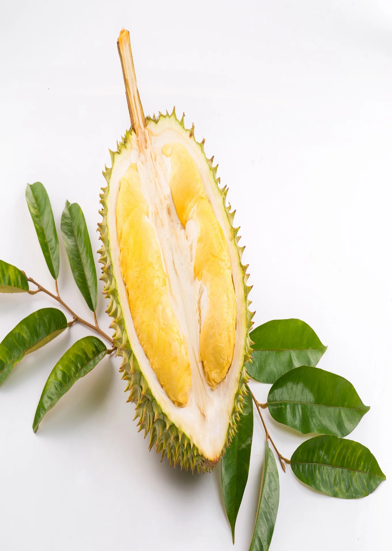 High Quality Carton Box Packaging Yellow Common Cultivation Type Sweet Taste Durian Export From Vietnam