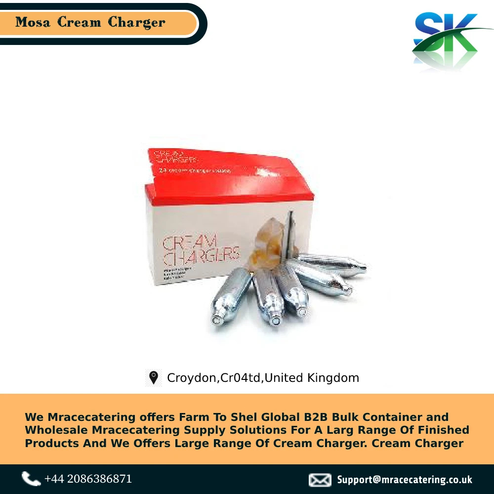 Best 580g Whipped Cream Gas Charger