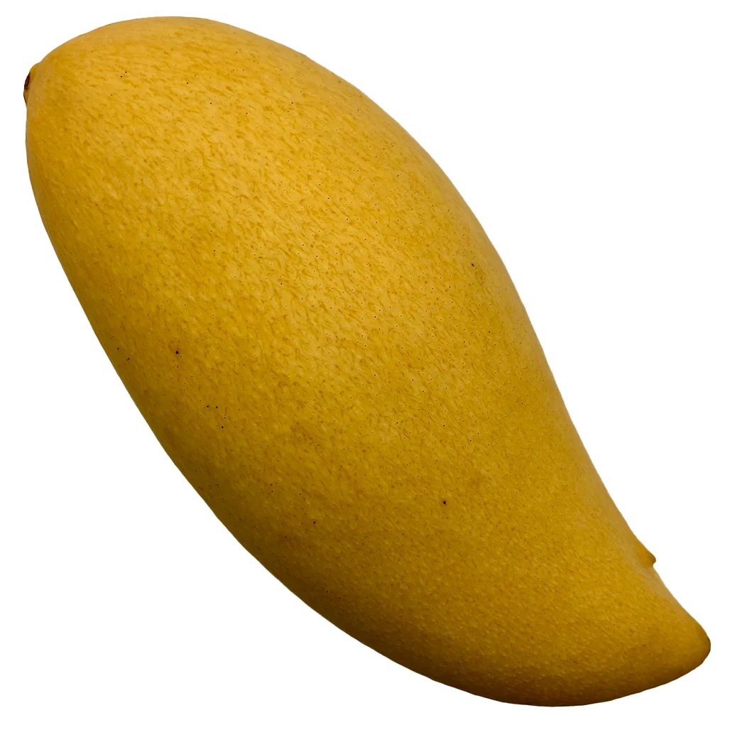 Competitive Price High Quality Imported Grade Fresh Mangos Fruit Box Packing Top Grade Selecting Ready to Eat from Thailand