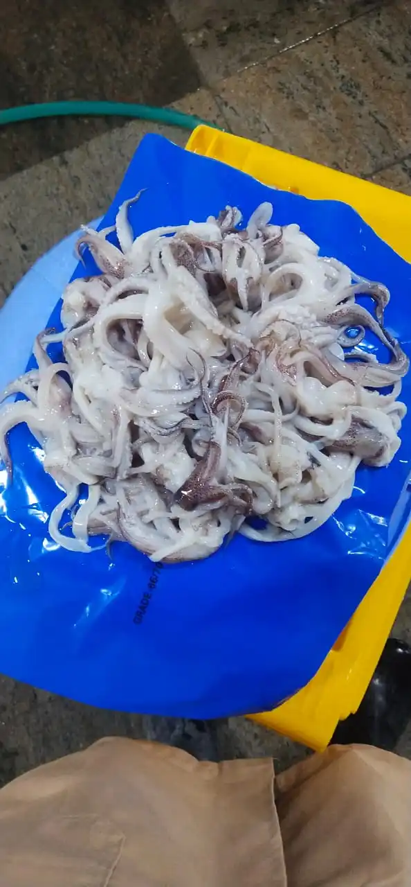Замороженные грызунки кальмара очищенные из Индии