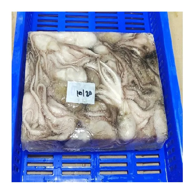 Замороженный осьминог, весь блок замороженный из Индии