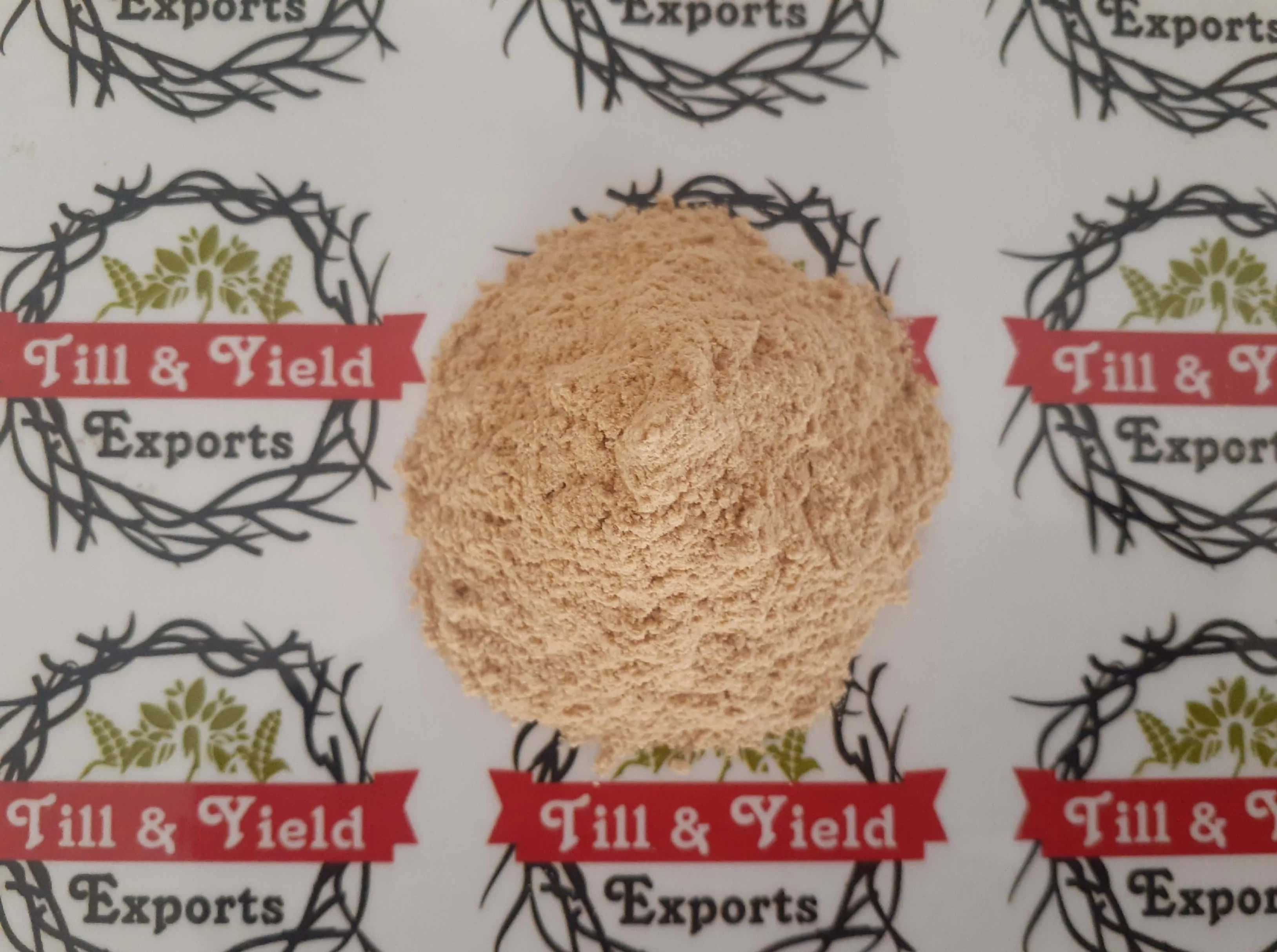 Premium Quality Garlic Powder Indian Kadha For Improve Immunity Compounds With Potent Medicinal Properties