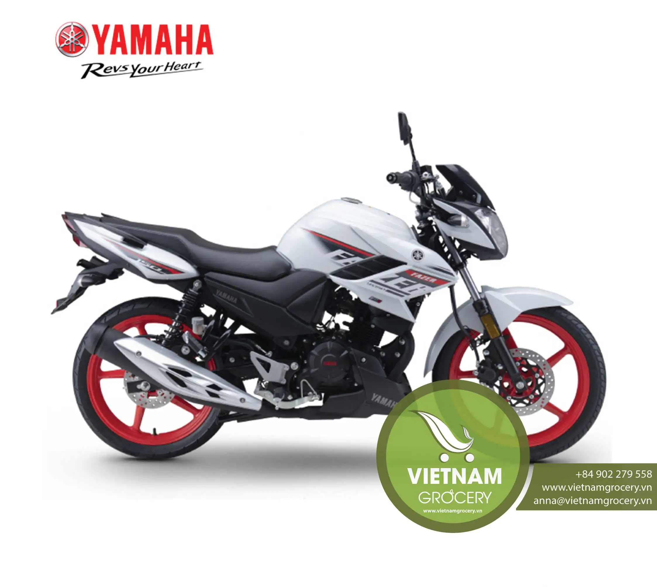 Yamaha-Street-Bike-1.jpg