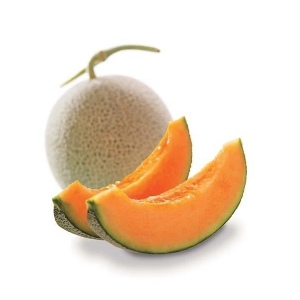 Organic Muskmelon sweet honeydew for sale Unifarm Vietnam