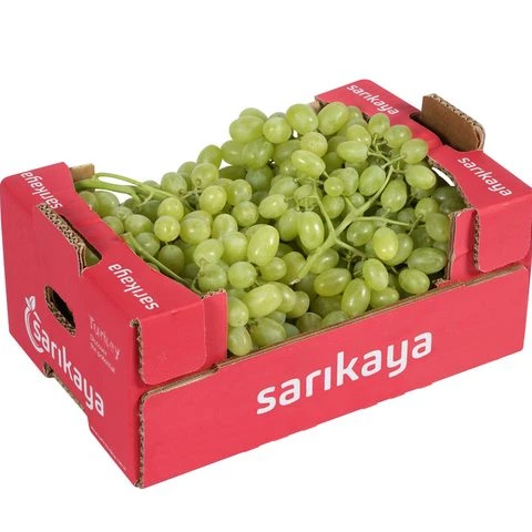 
Fresh Grape Thompson 