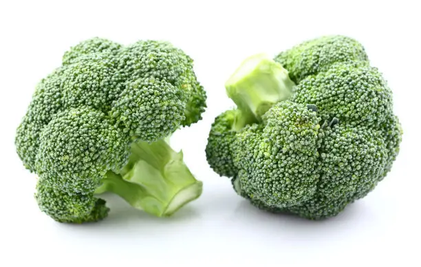 Китайский свежий брокколи по низкой цене 2021 новый урожай оптовая продажа