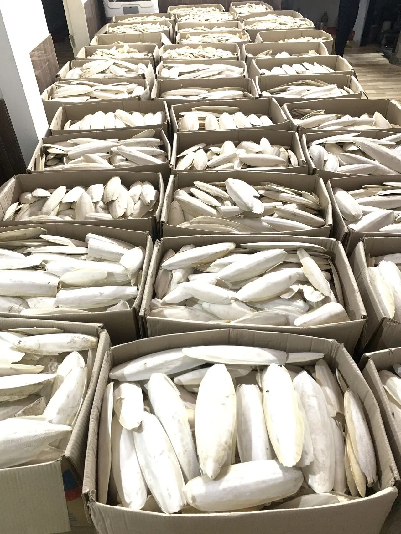 Кости для рыбы/колючки колючей высушенных птиц костей рыбы свежие продукты из Вьетнама