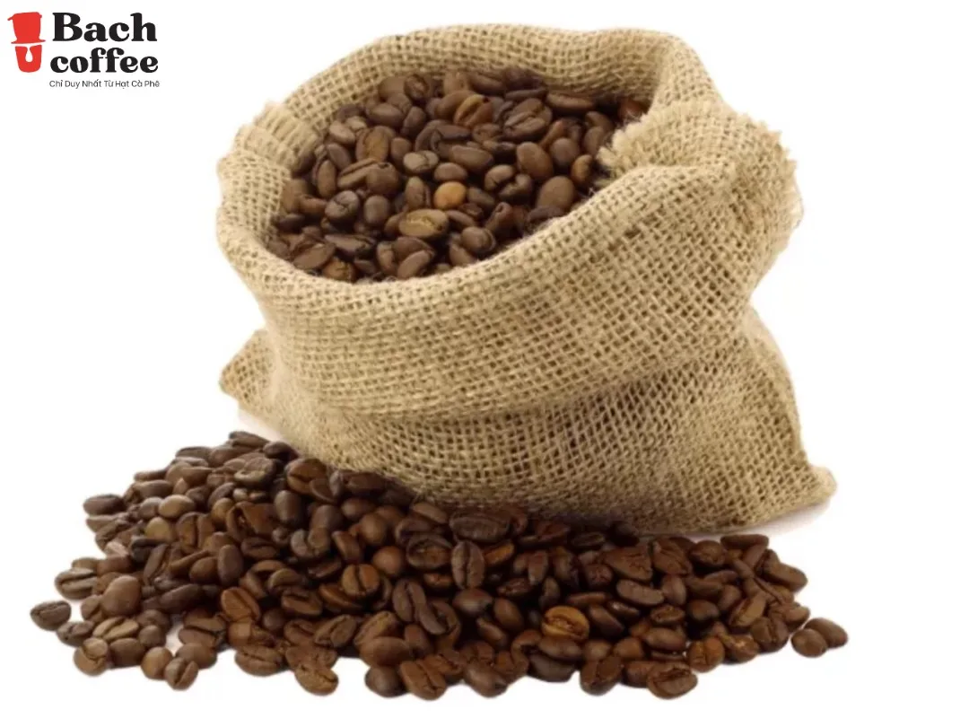Espresso Italiano Arabica Whole Bean Coffee - Medium Roast  - 100 pure coffee beans grown in High Land , Viet Nam
