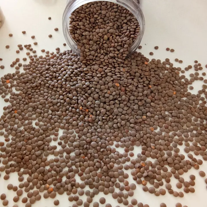 Большая сумка из чистой чечевицы New harvest в наличии