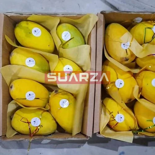 Natural Organic Fresh mango Nam dok mai high quality  exported at cheap price from Pakistan to all over the world