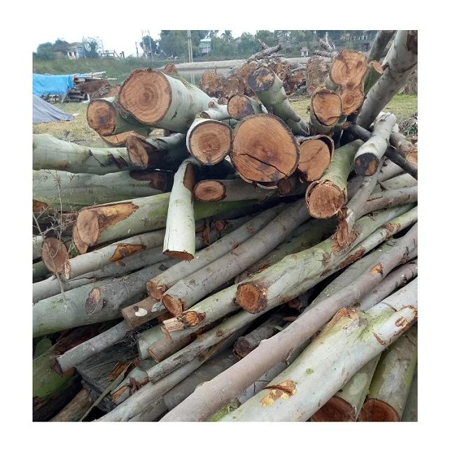 Самая дешевая цена 100% деревянный эвкалипт из Вьетнама